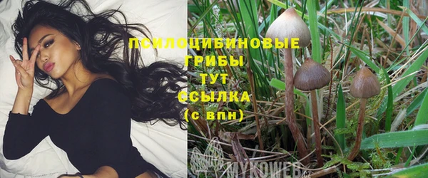 эйфоретик Балабаново