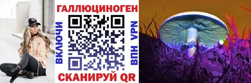 хочу наркоту Тайшет Псилоцибиновые грибы мицелий